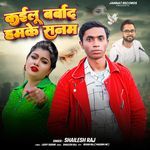 Kailu Barbad Hamke Sanam