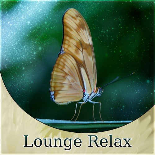 Lounge (Buddha Chillout)
