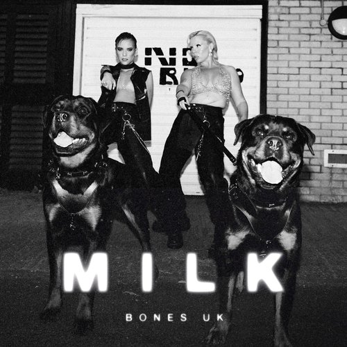 Milk_poster_image