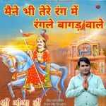 Mne Bhi Tere Rang Me Rangle Bagad Wale