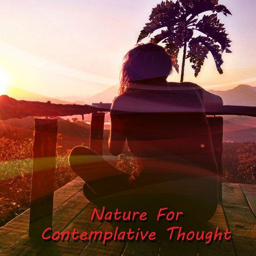 Nature For Contemplative Thought