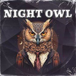 Night Owl-Hg8qWixqRGQ