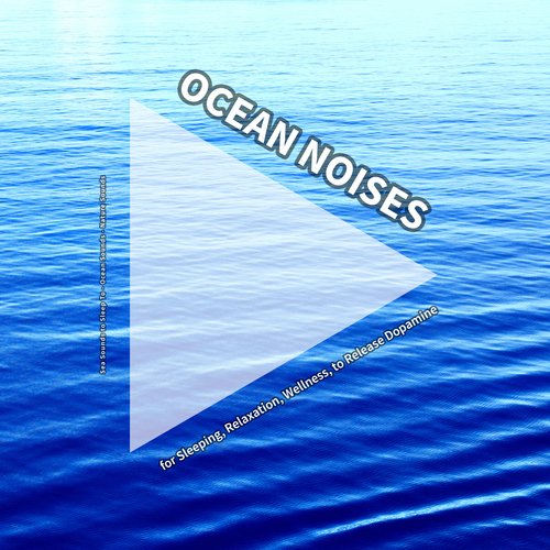Splendid Beach Sounds