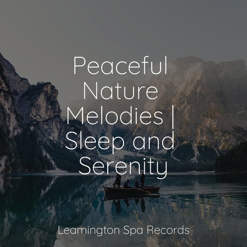 Meditating Music cover art