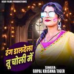 Rang Daldela Tu Choli Me