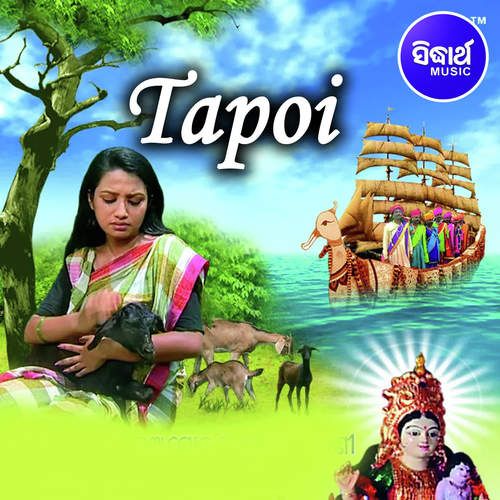 Tapoi 2