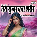 Tero Sundar Bna Sareer