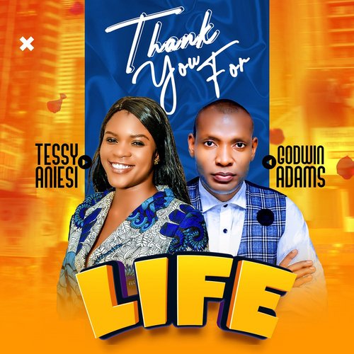 Thank You For Life (feat. Godwin Adams)_poster_image