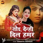 Tod Denhi Dil Hamar