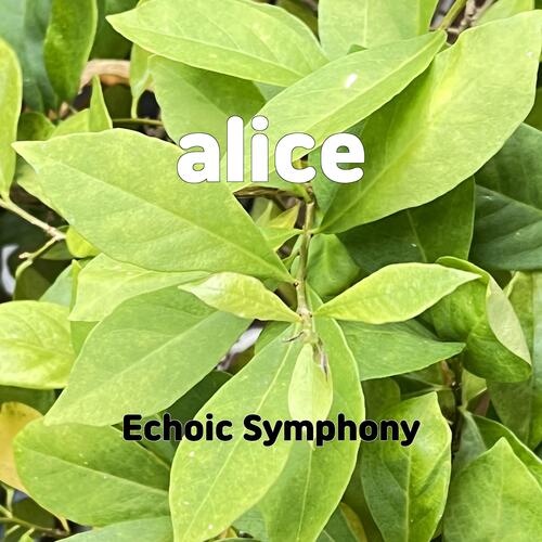 alice cover art