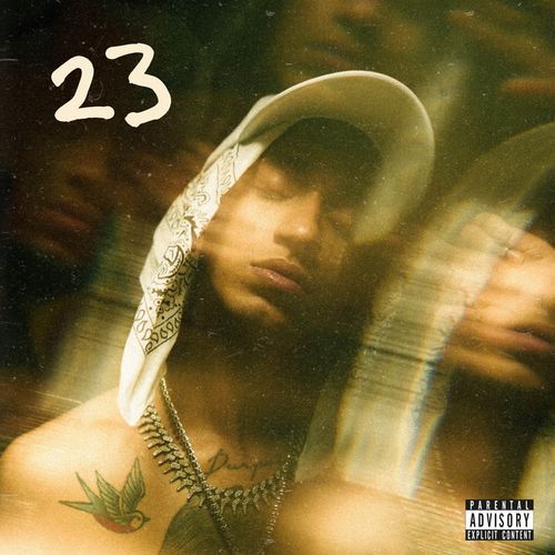 23