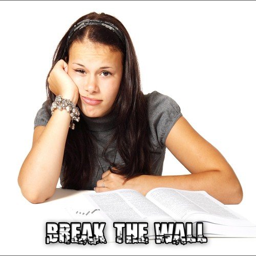 Break The Wall_poster_image