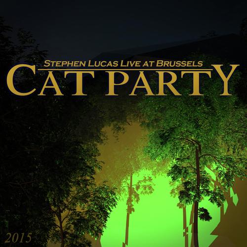 Stephen Lucas Live at Brussels