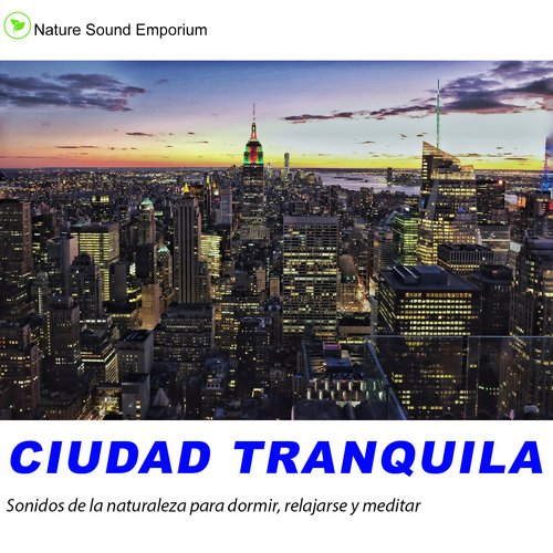 Ciudad Tranquila 4 cover art