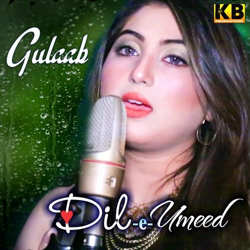 Dil-e-Umeed_poster_image