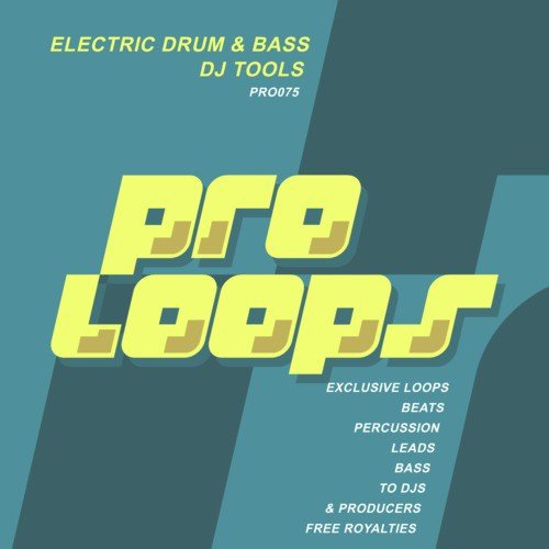 Electric Drum & Bass Percu 175