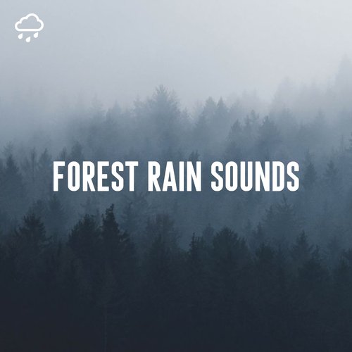 Natural Forest Sounds cover art