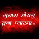 Gulam Hoynu Tuna Pyar Ma