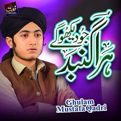 Hara Gumbad Jo Dekhoge