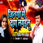 Jindagi Mein Daag Lagayilu