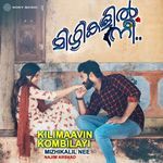 Kilimaavin Kombilayi