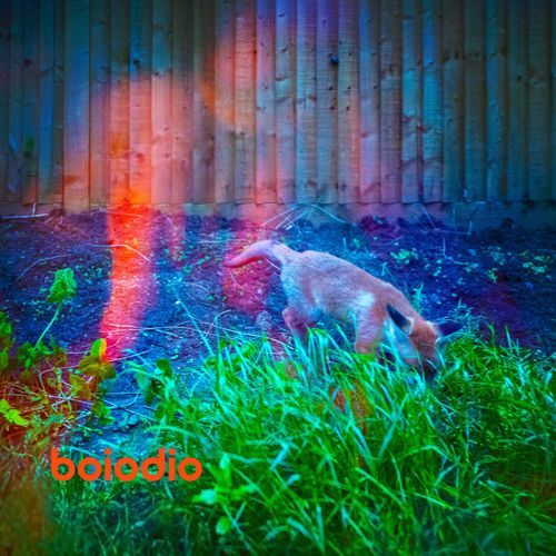 Lars (Radio Edit) cover art