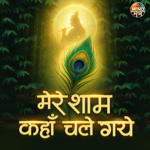 Mere Shyam Kahan Chale Gaye