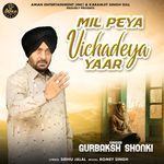 Mil Peya Vichadeya Yaar