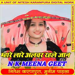 म्हारे लारे अलवर रहले जान-Hx4KVRZSQ2I