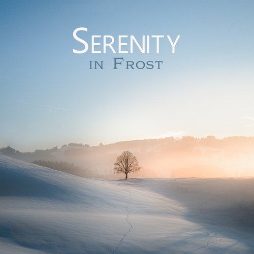 Serenity in Frost: Winter&#039;s Tranquil Ambience_poster_image