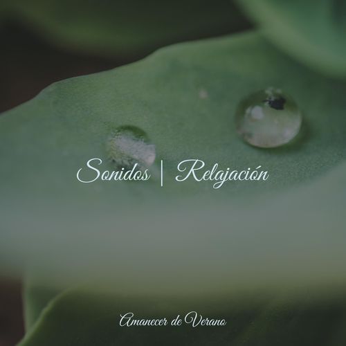 Sonidos | Relajación