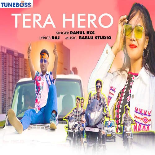 TERA HERO