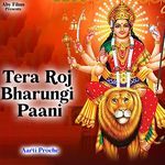 Tera Roj Bharungi Paani
