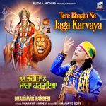 Tere Bhagta Ne Jaga Karvaya