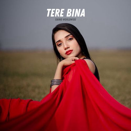 Tere Bina