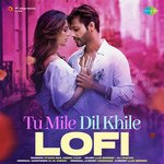 Tu Mile Dil Khile - Lofi