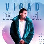 Vigad