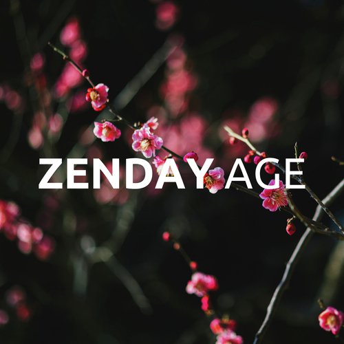 ZenDay Age