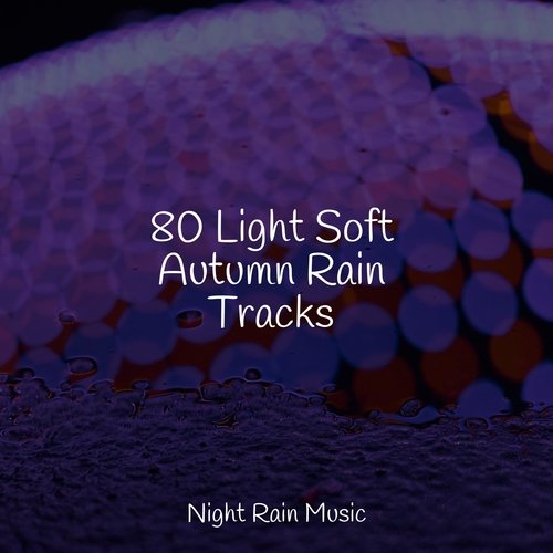 Rain, Storm and Thunder cover art