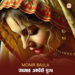 Amar Ektai Dukkho (Part 247)