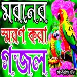 Ami Cinta Kori Kobore Kemne Hobo Par