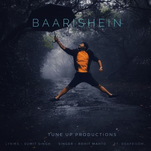 Baarishein