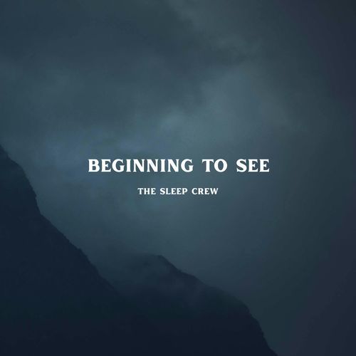 Beginning to See_poster_image