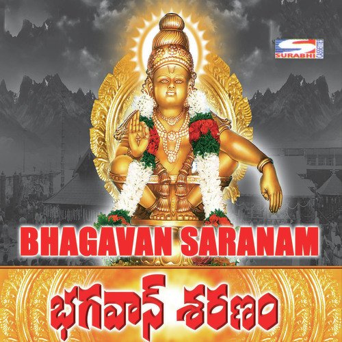 Bhagavan Saranam