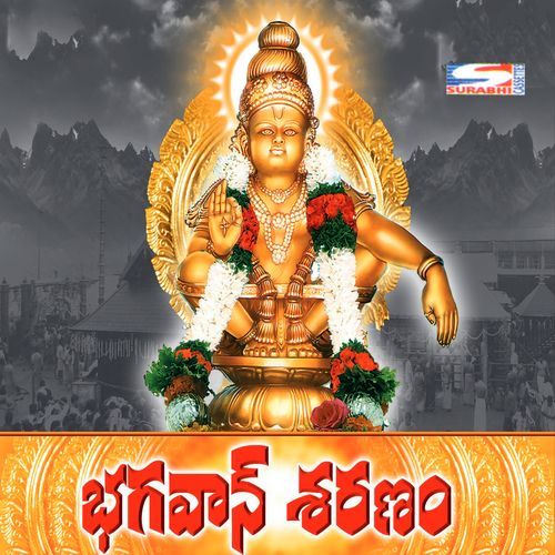 Bhagavan Saranam