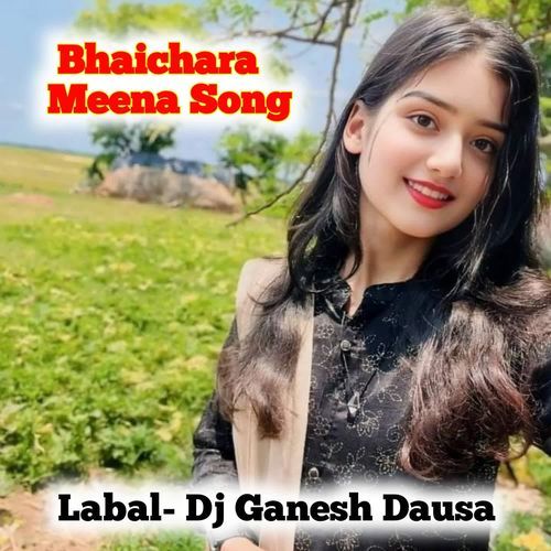 Bhaichara Meena Song