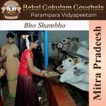 Bho Shambho