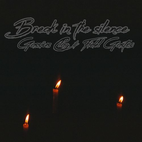 Break in the silence cover art