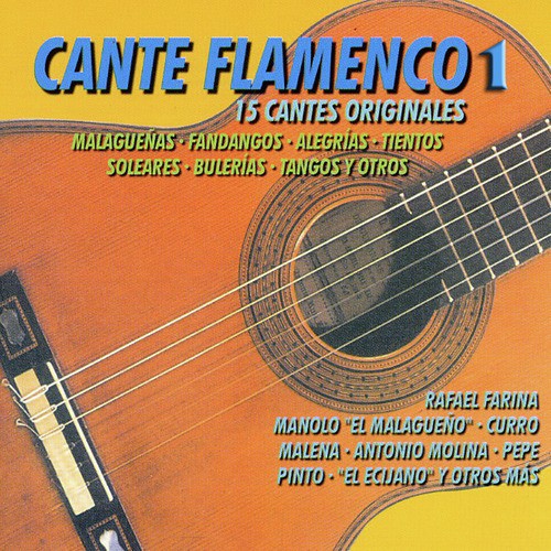 Cante Flamenco 1