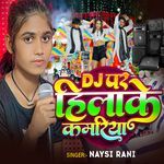 DJ Par Hilake Kamariya